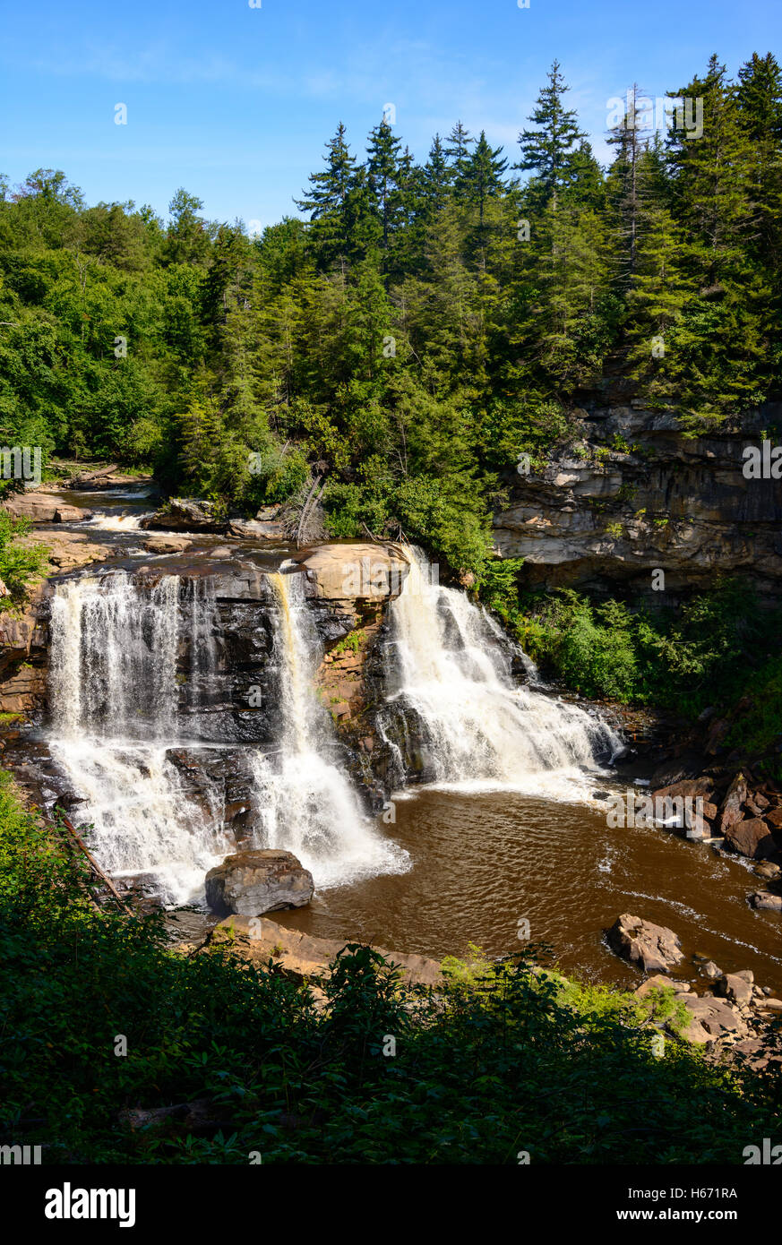 Parc d'état de Blackwater Falls Banque D'Images