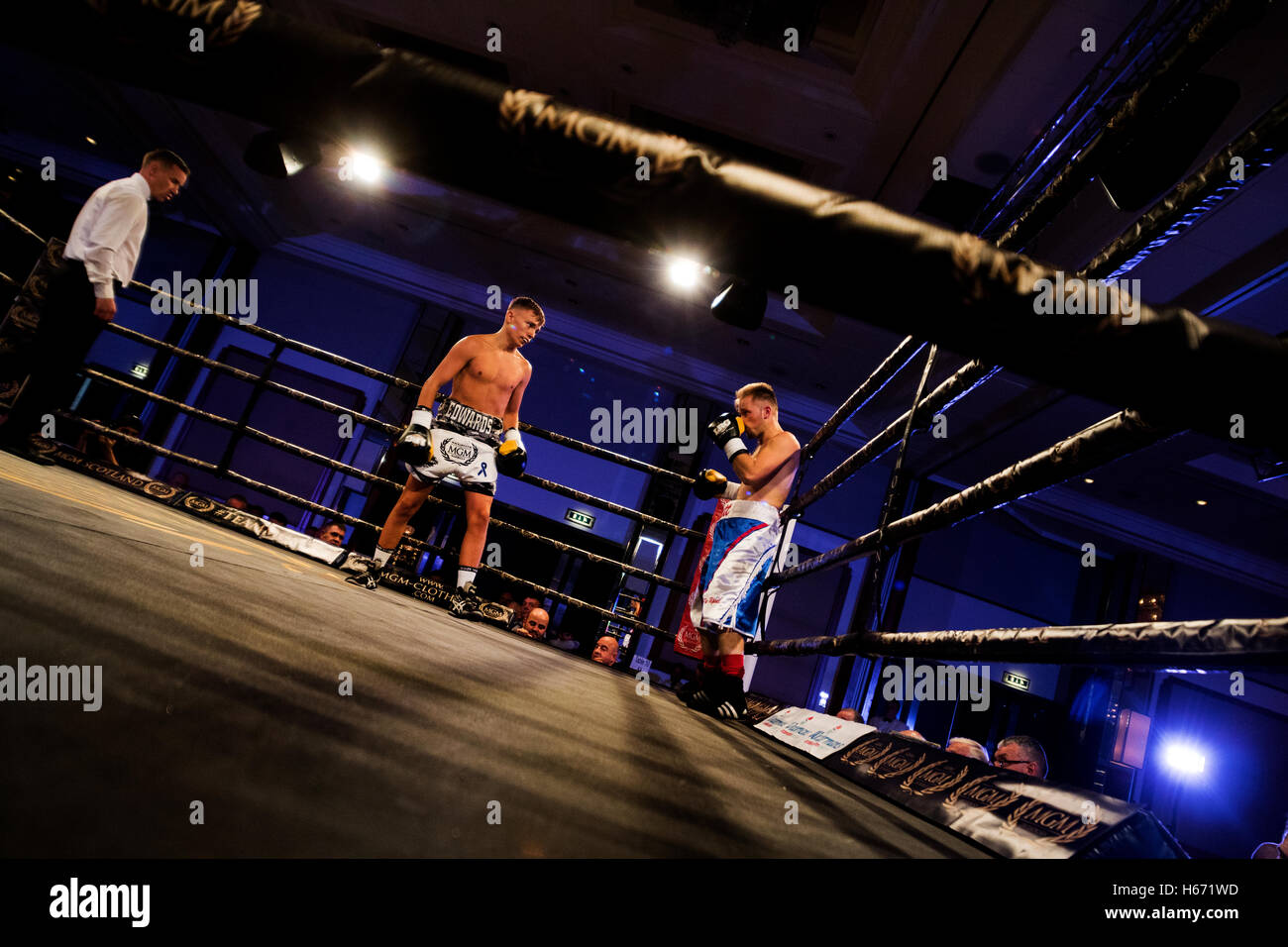 La boxe, fight night action ringside Banque D'Images