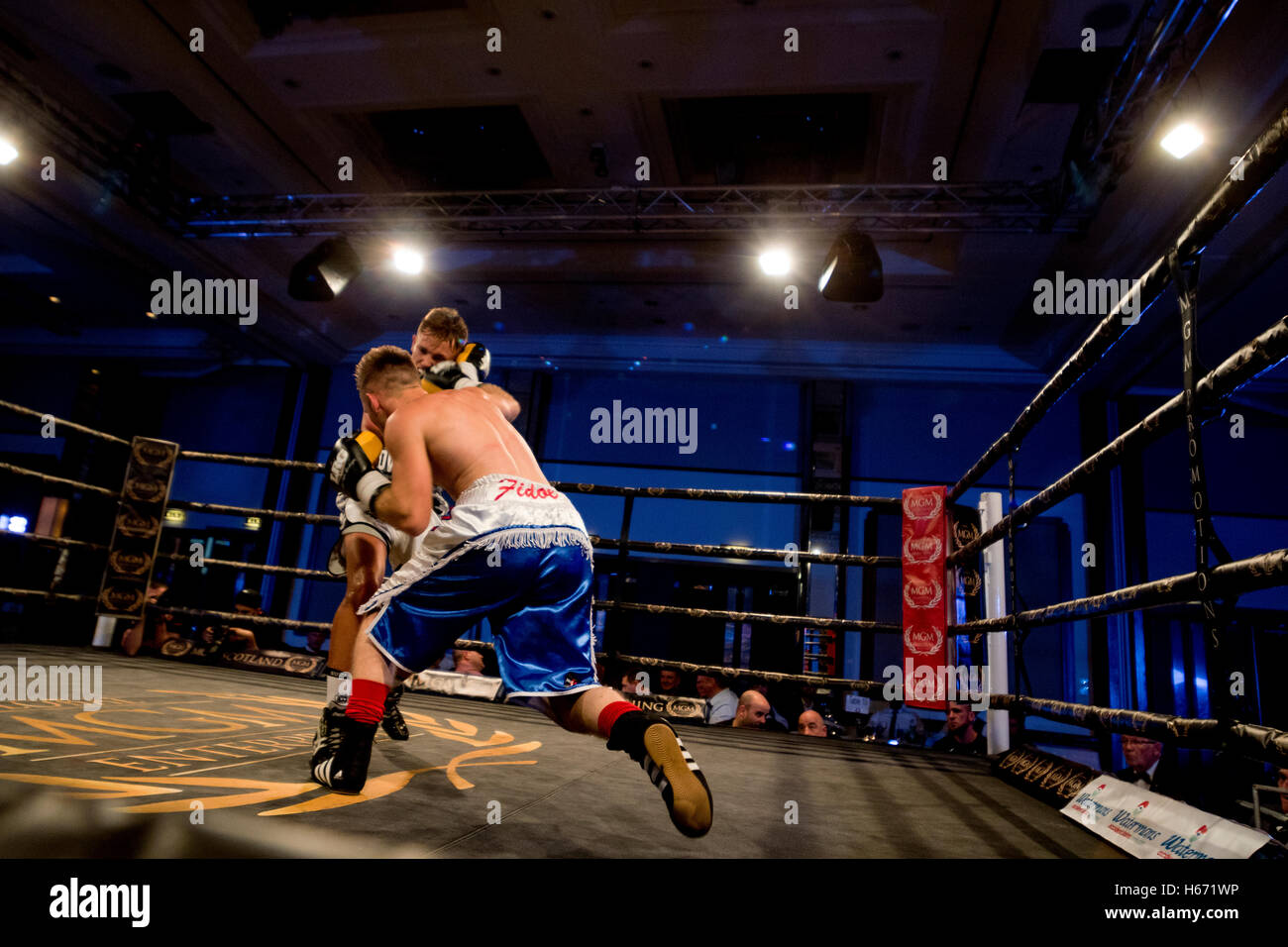 La boxe, fight night action ringside Banque D'Images