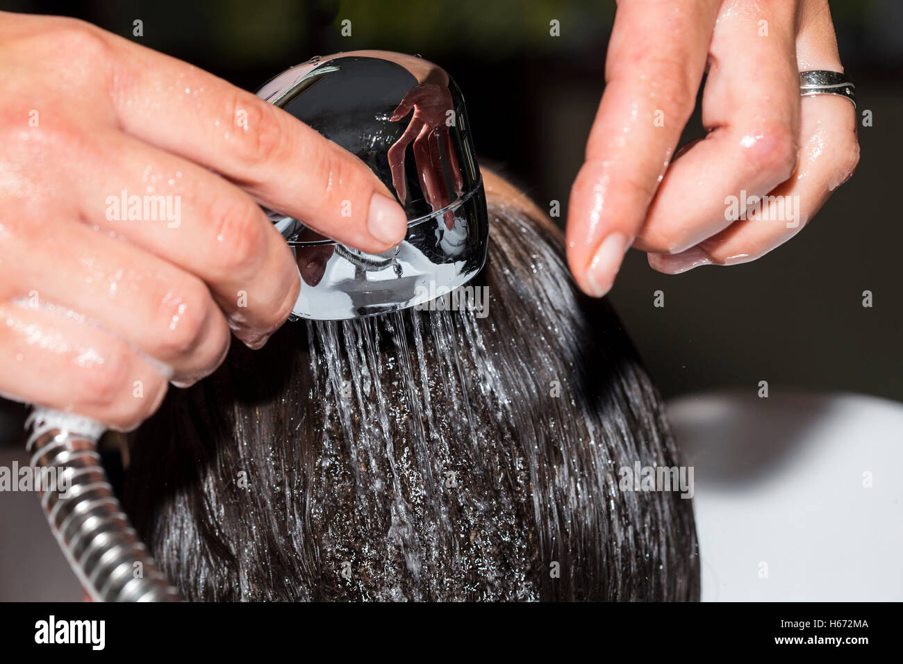 Lave les cheveux du client dans un salon de coiffure. Banque D'Images