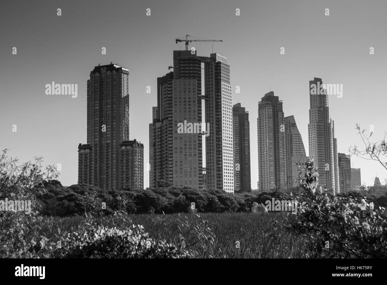 Reserva Ecologica, Buenos Aires, Argentine Banque D'Images