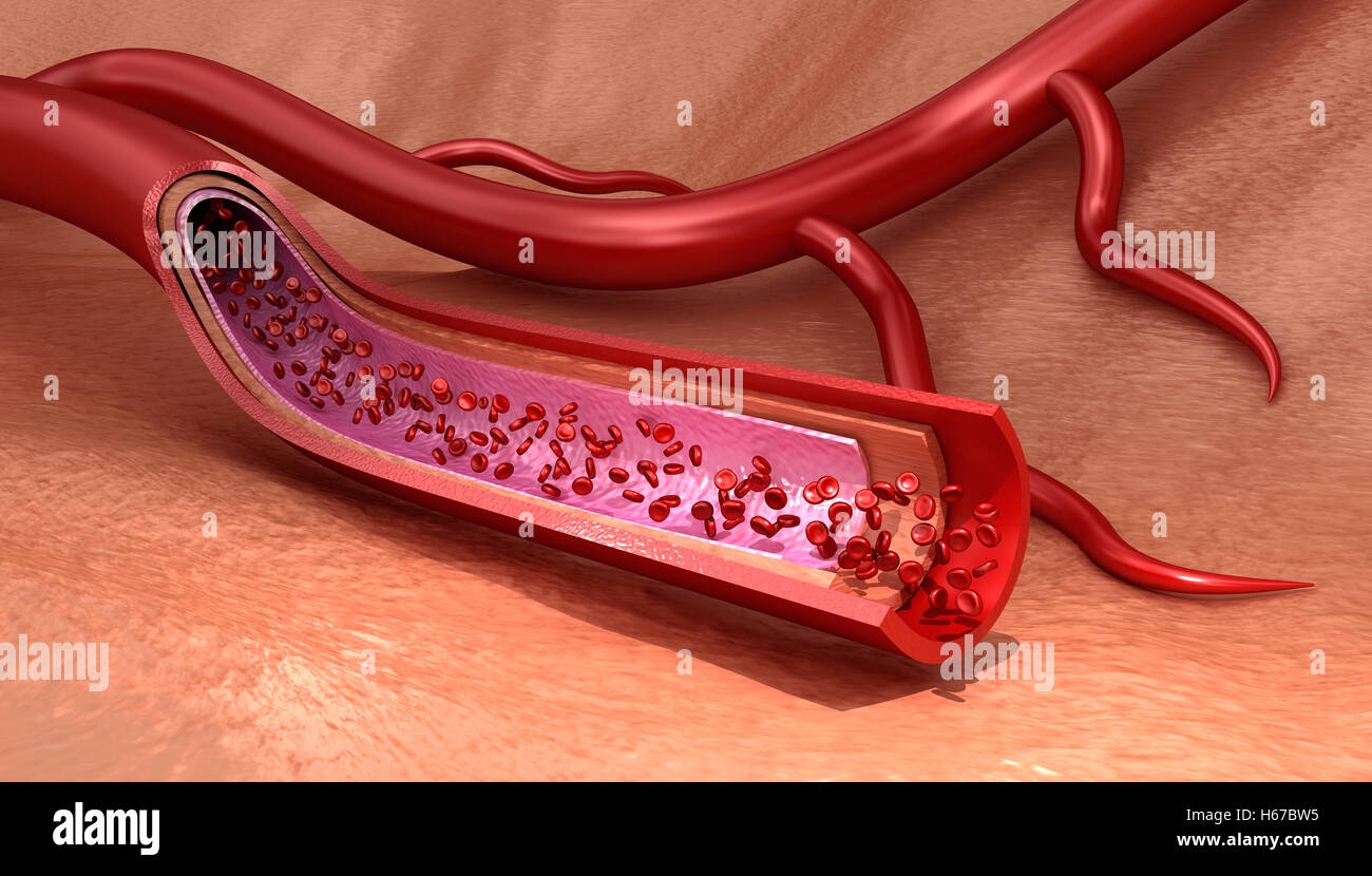 Vaisseau sanguin macro en tranches aux érythrocytes médicalement , illustration 3D précis Banque D'Images