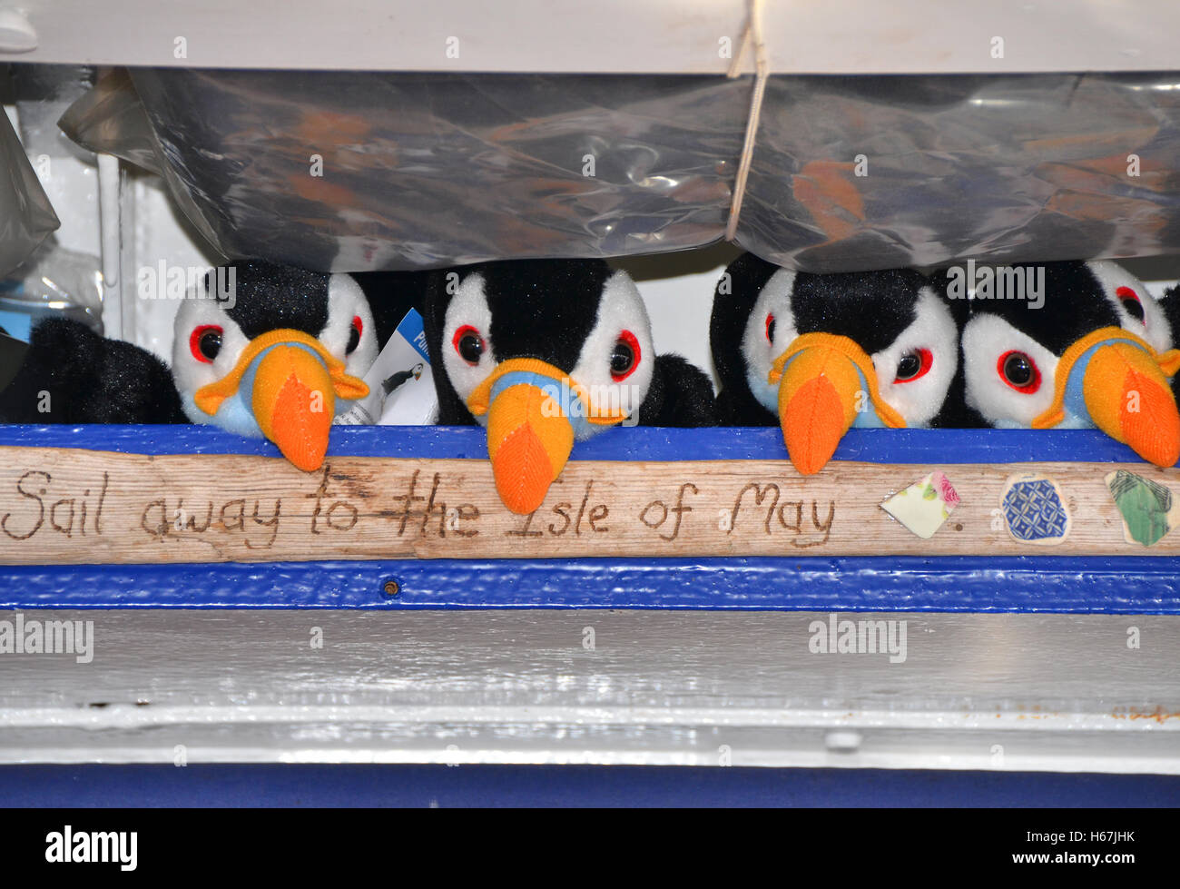 Peluche oiseaux macareux en vente, sur un bateau de tourisme voyage à l'île de mai Banque D'Images