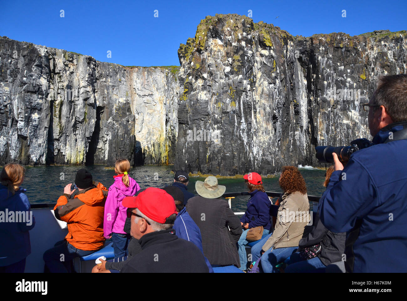 Les falaises de l'île de mai, Fife, comme vu à partir d'un voyage d'une journée en bateau de croisière avec ses passagers à leur retour à l'afficheur. Banque D'Images