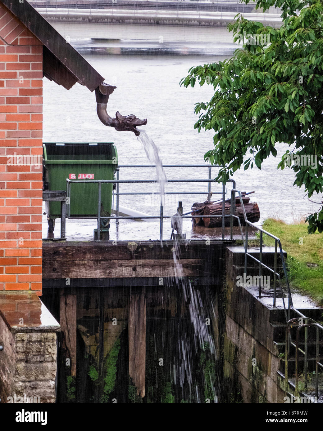 Tuyau d'évacuation d'eau de dragon sur le toit du vieux moulin sur la rivière Fulda. Hann. Münden, Basse-Saxe, Allemagne Banque D'Images