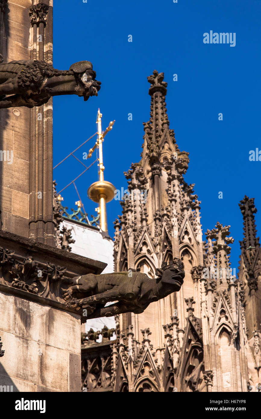 L'Europe, l'Allemagne, Cologne, des gargouilles à la partie sud de la cathédrale. Banque D'Images