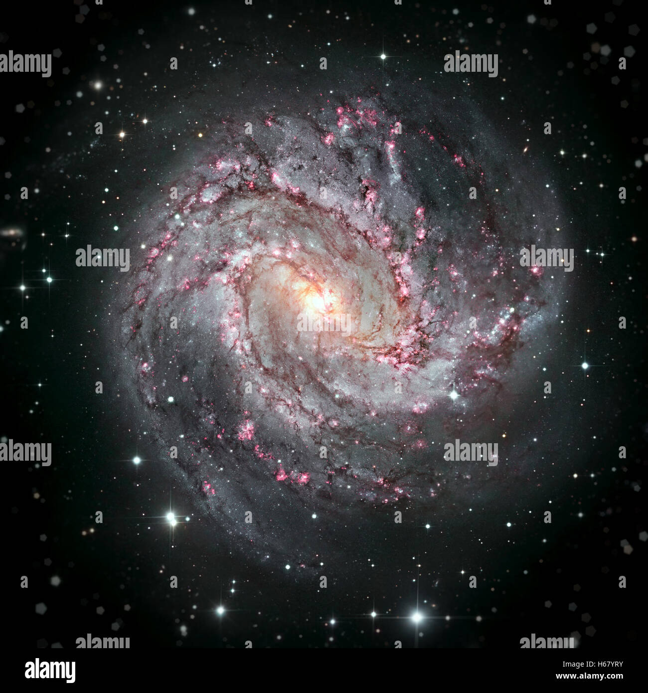Messier 83, dans le sud du Soleil Galaxie, M83 ou NGC 5236 est une galaxie spirale barrée dans la constellation de l'Hydre. Banque D'Images