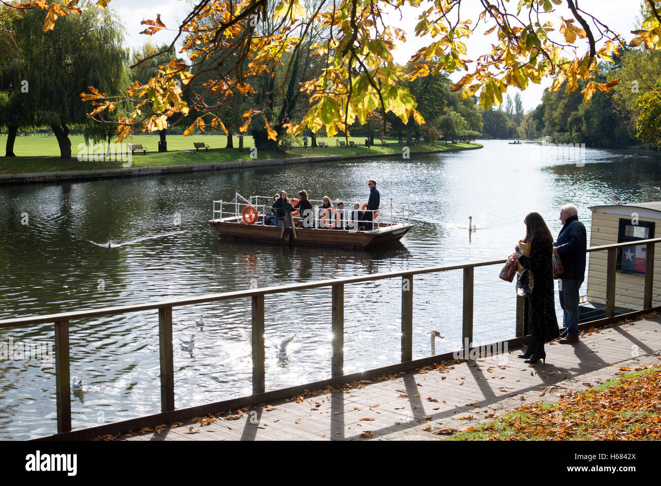 La rivière Avon ferry en automne, Stratford-upon-Avon, Royaume-Uni Banque D'Images