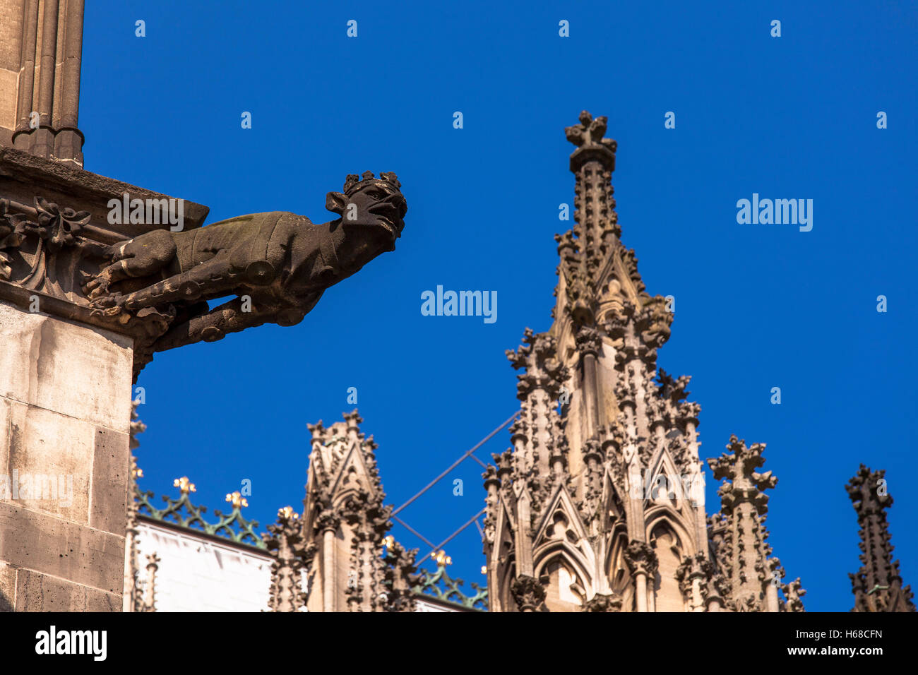 L'Europe, l'Allemagne, Cologne, gargouille à la partie sud de la cathédrale. Banque D'Images