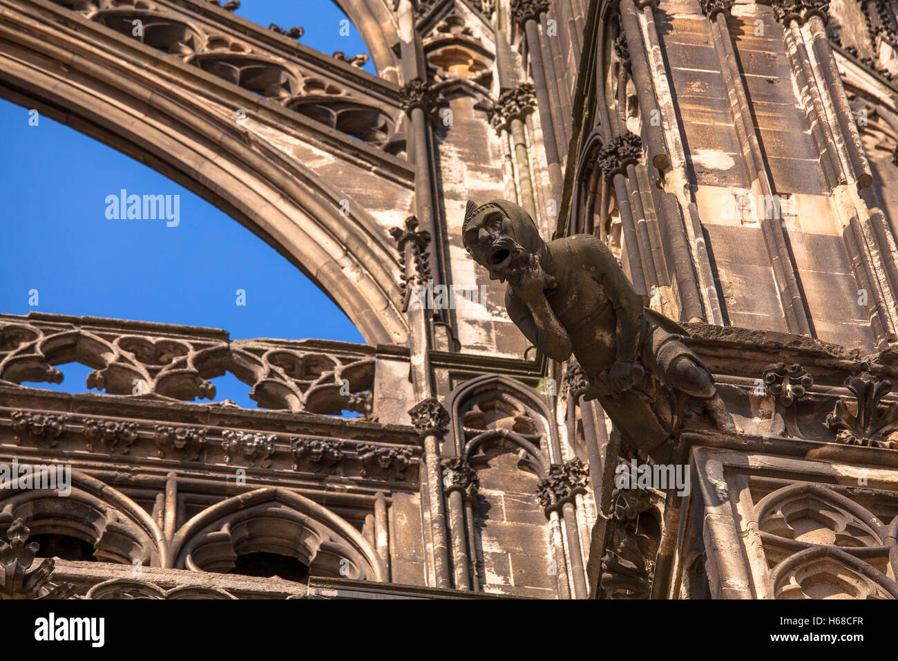 L'Europe, l'Allemagne, Cologne, gargouille à la partie sud de la cathédrale. Banque D'Images
