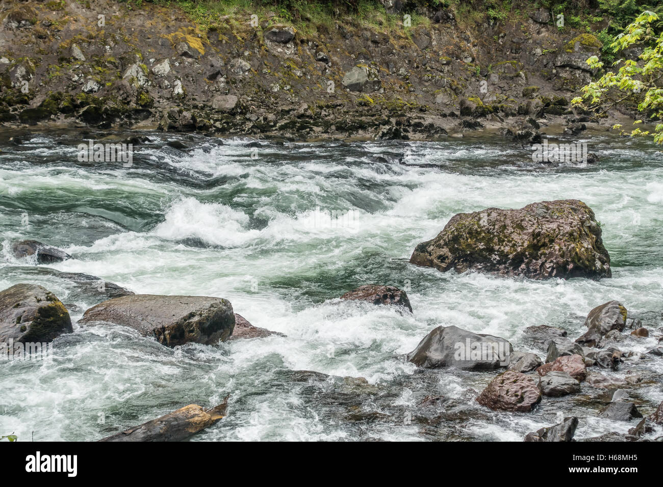 L'eau blanche se précipite sur les rochers passé Snoqualmie River dans l'État de Washington. Banque D'Images