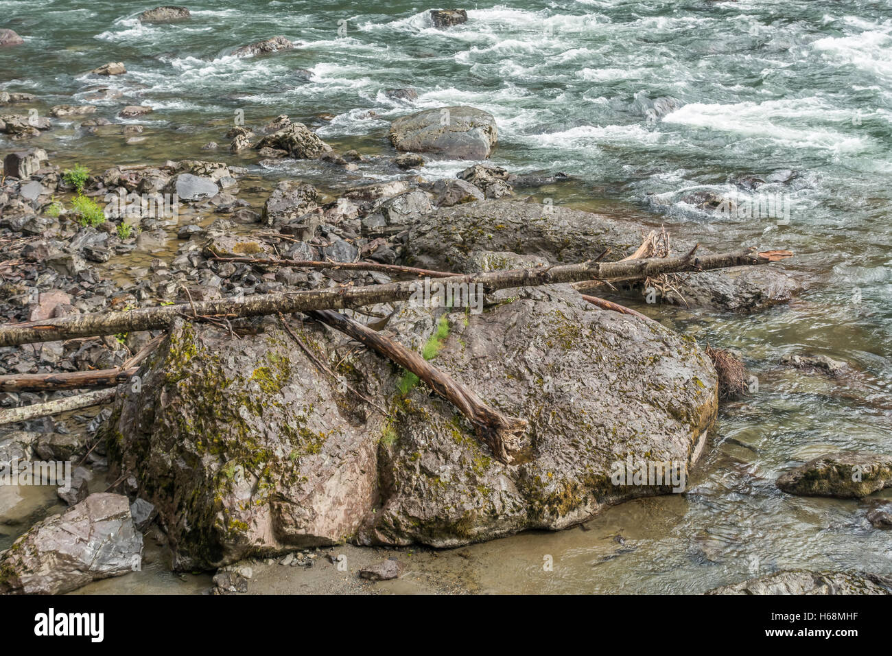 La ligne de rochers sur la rive de la rivière Snoqualmie dans l'État de Washington. Banque D'Images
