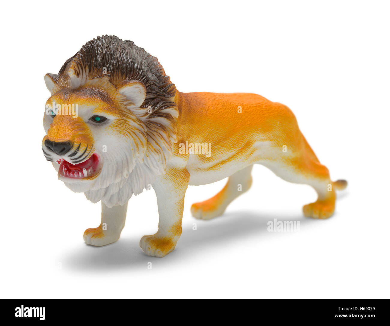 Standing lion isolated on white Banque de photographies et d'images à haute  résolution - Alamy
