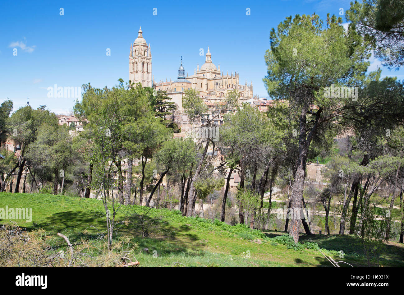 Segovia - Cathédrale de Notre Dame de l'Assomption et la forêt de pins Banque D'Images