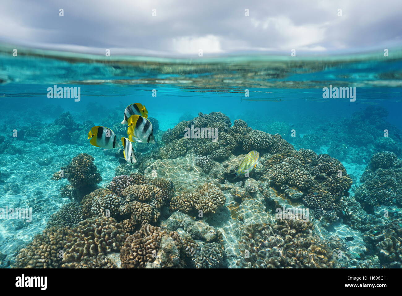 Les récifs coralliens tropicaux peu profonds avec poisson sous l'eau et ciel nuageux split par flottaison, Rangiroa, l'océan Pacifique, Polynésie Française Banque D'Images