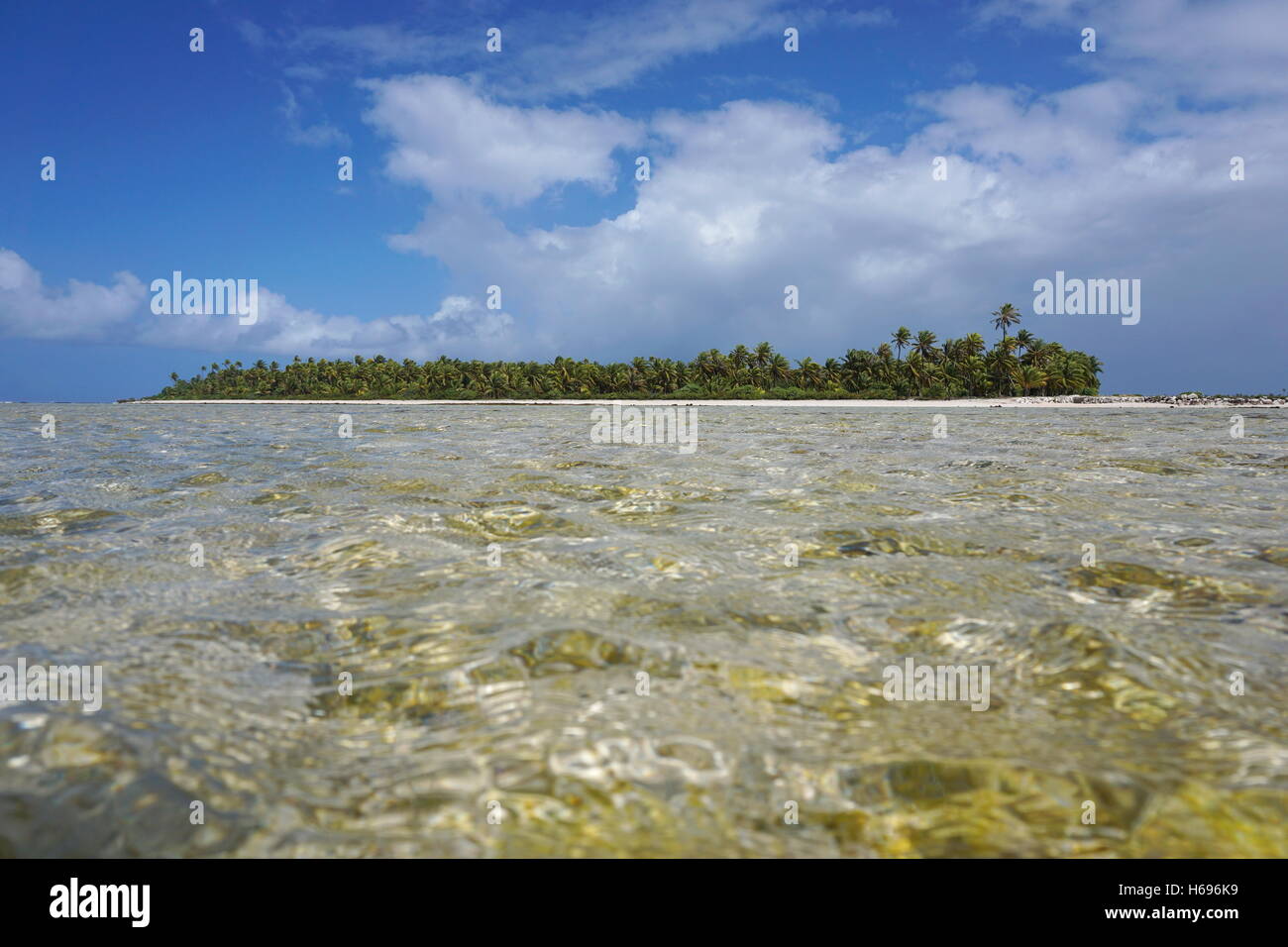L'îlot tropical de l'atoll de Tikehau, vu d'un chenal peu profond (hoa) entre l'océan et le lagon, Polynésie Française Banque D'Images