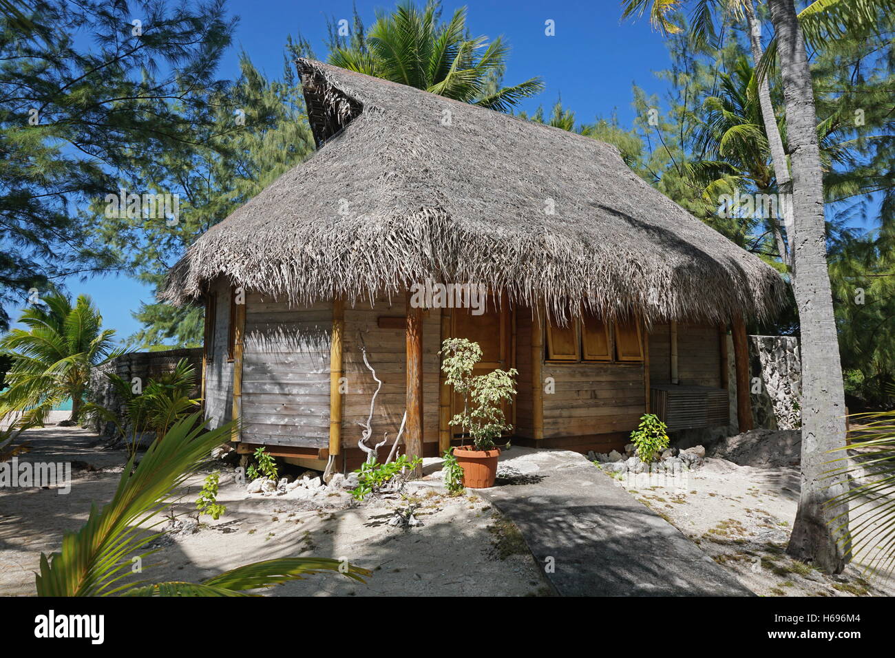 Bungalow tropical en bois avec toit de chaume sur un motu de l'atoll de Tikehau, Tuamotu, Polynésie Française, Pacifique sud Banque D'Images