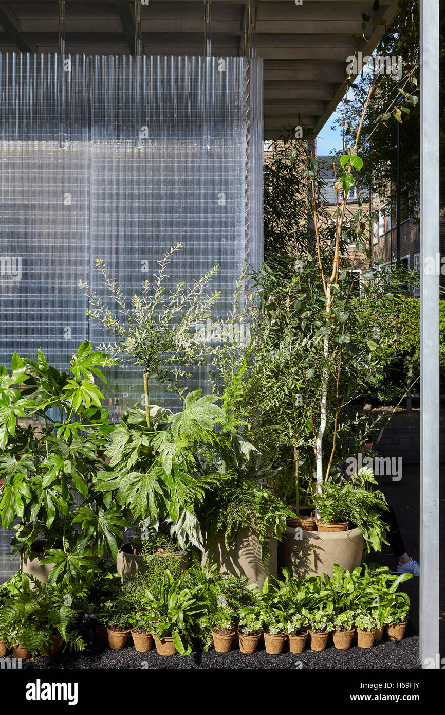 Créer la structure, place Charles, détail de la plantation. MINI Living Forest l'installation, Londres, Royaume-Uni. Architecte : Asif Khan, 2016. Banque D'Images