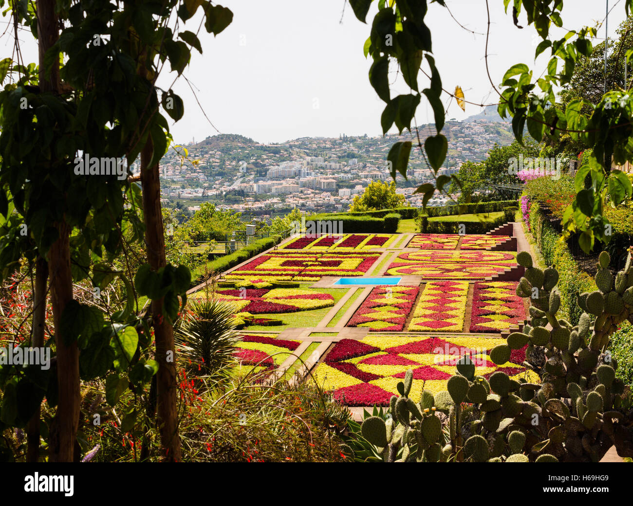 Une vue de la jardin botanique de Madère en direction de Funchal dans l'arrière-plan sur l'île portugaise de Madère Banque D'Images