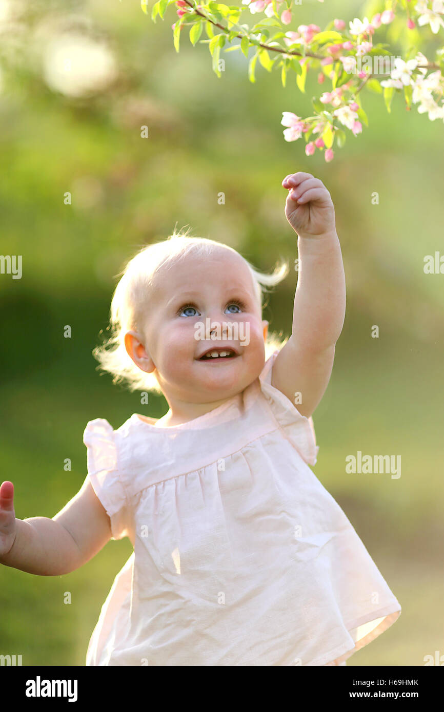 L'âge d'un an d'une adorable petite fille aux cheveux blonds est atteignant jusqu'à choisir une fleur d'un pommetier au coucher du soleil un jour de printemps Banque D'Images