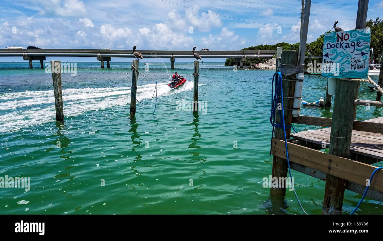 Le quai à Robbie's, une destination touristique populaire pour la pêche et l'alimentation on Islamorada Key dans les Florida Keys. Banque D'Images