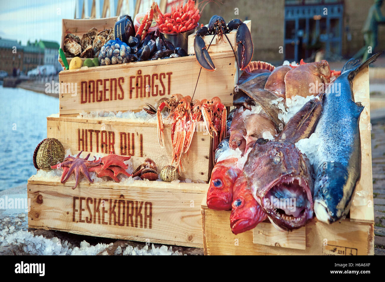 Close up de la peinture sur le poisson van, feskekorka, poissons,église,Suède Göteborg Banque D'Images