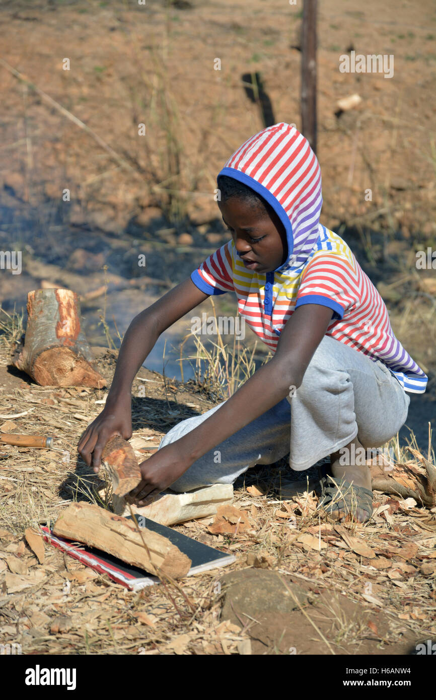 Les élèves apprennent les arts traditionnels de la sculpture sur bois et la musique à la chance d'Ntimani Mbokota en studio, Afrique du Sud. Banque D'Images