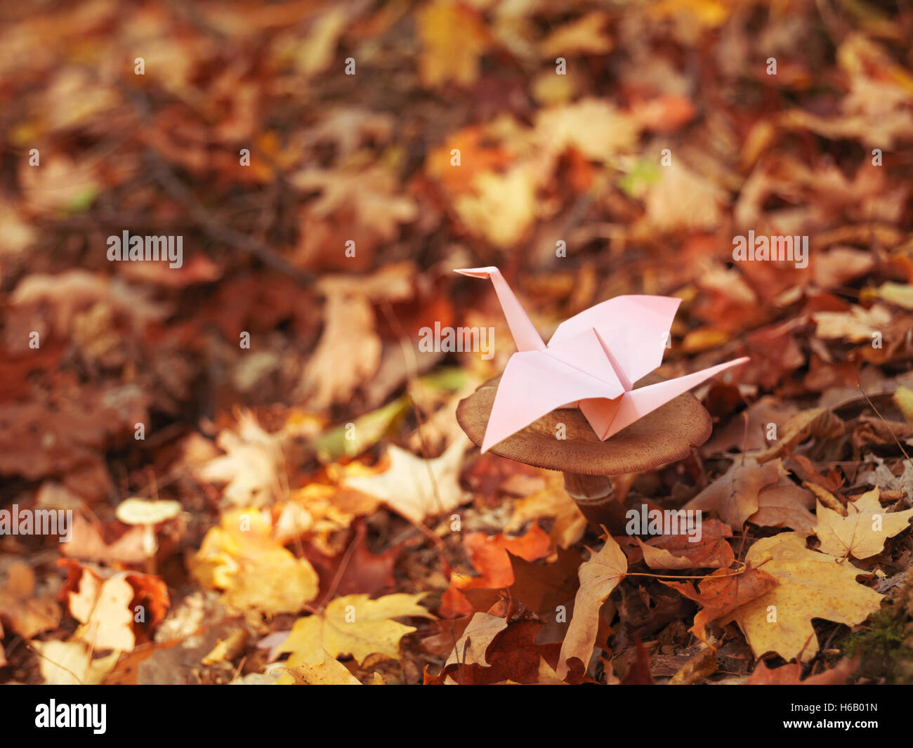 Papier Origami crane assis sur un champignon en automne paysage nature Banque D'Images