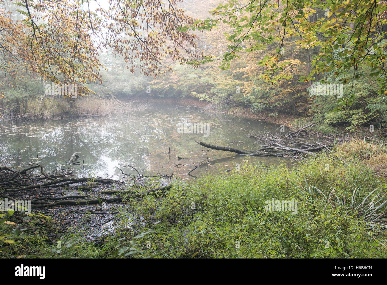 Pont sur la rivière Drava avec une fontaine Banque D'Images