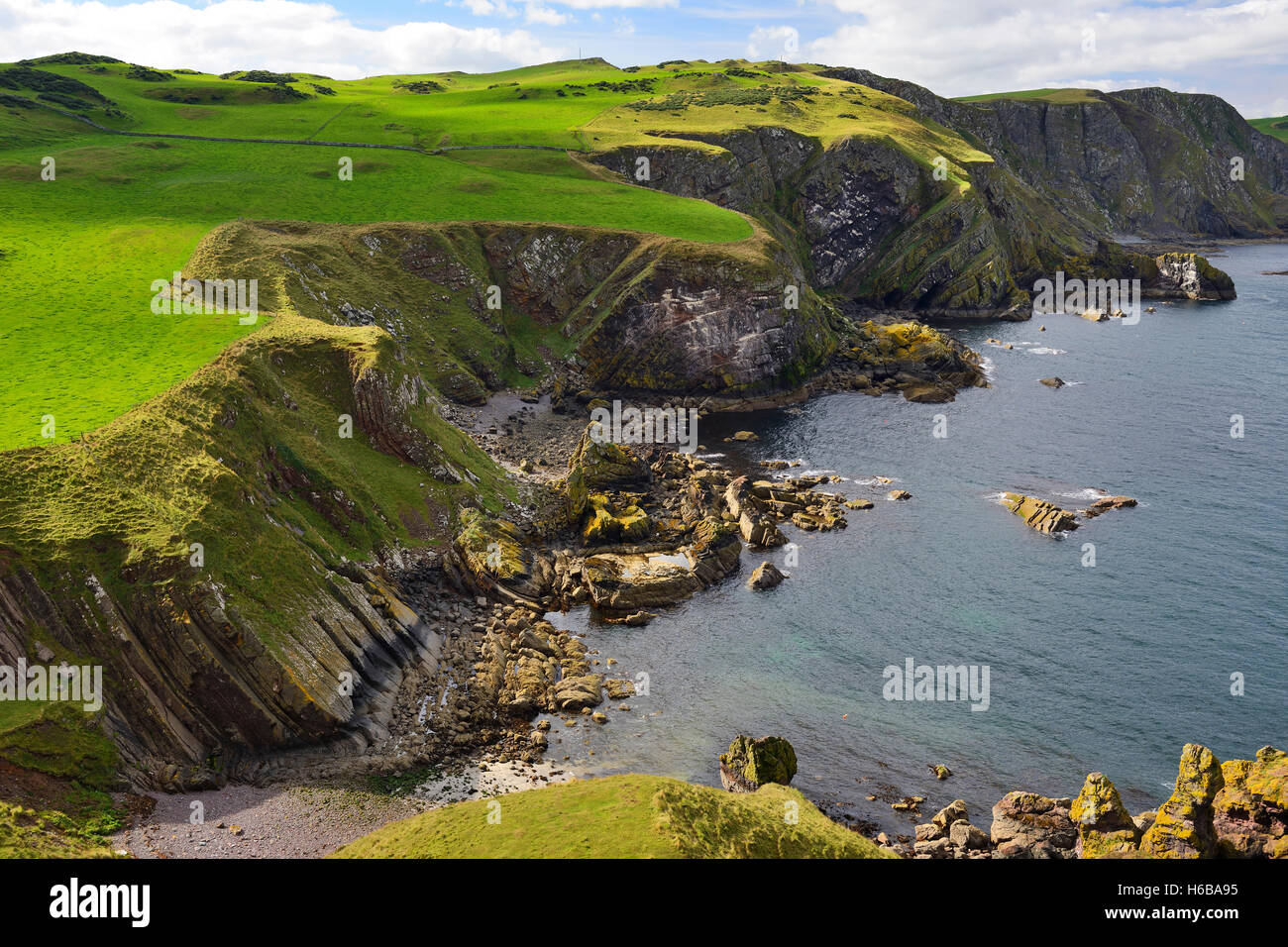 St Abb's Head, Berwickshire, Scottish Borders, Scotland, UK Banque D'Images