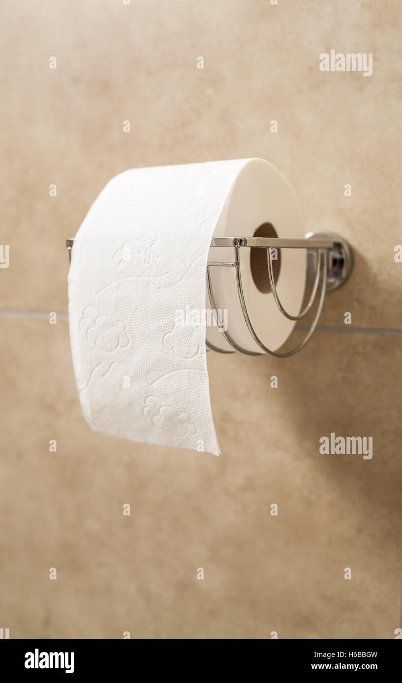 Rouleau de papier toilettes dans le support Banque D'Images