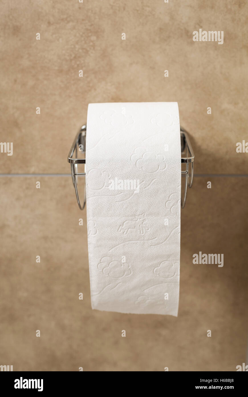 Rouleau de papier toilettes dans le support Banque D'Images