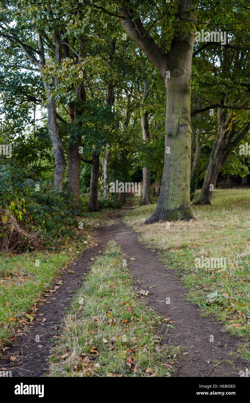 Un sentier à l'automne dans le parc Backhouse, Sunderland Banque D'Images