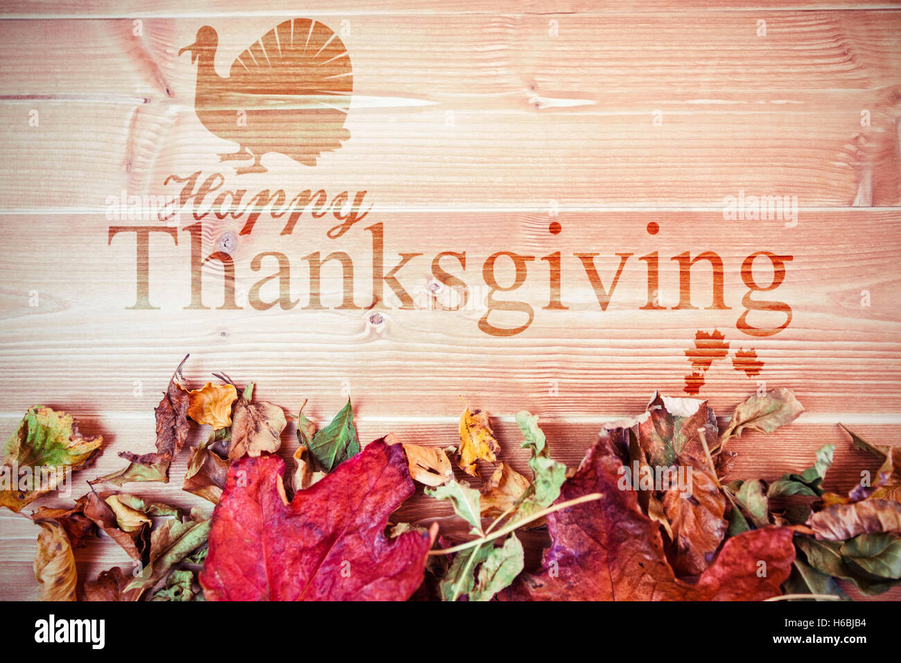 Image composite de l'ossature de la turquie Banque D'Images