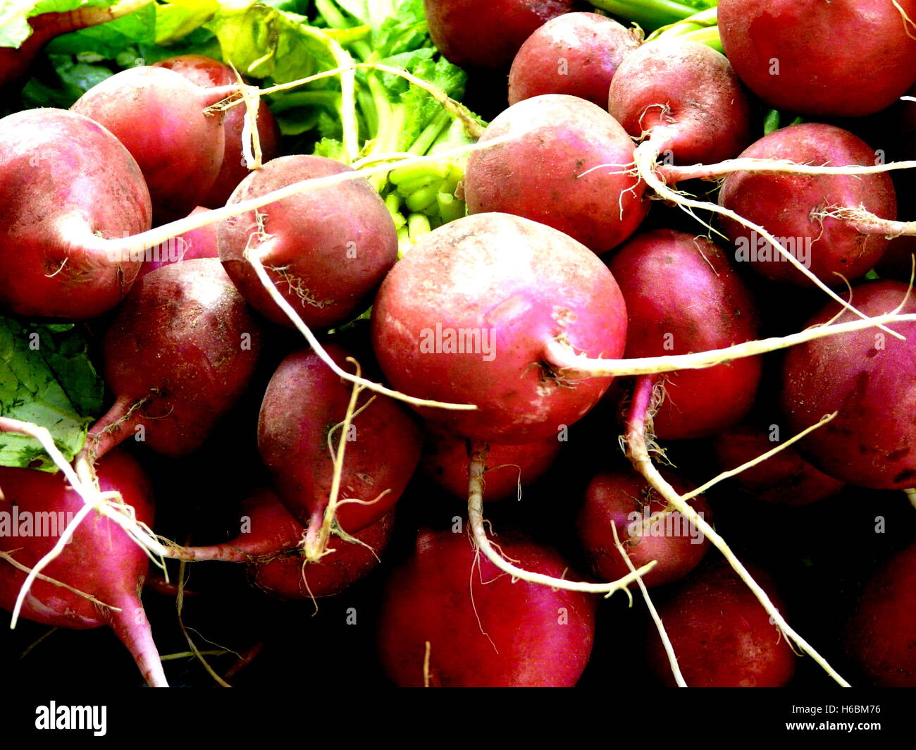 Betteraves fraîches sur un étal du marché, produits frais, légumes verts et rouges, à Budapest, Hongrie Banque D'Images