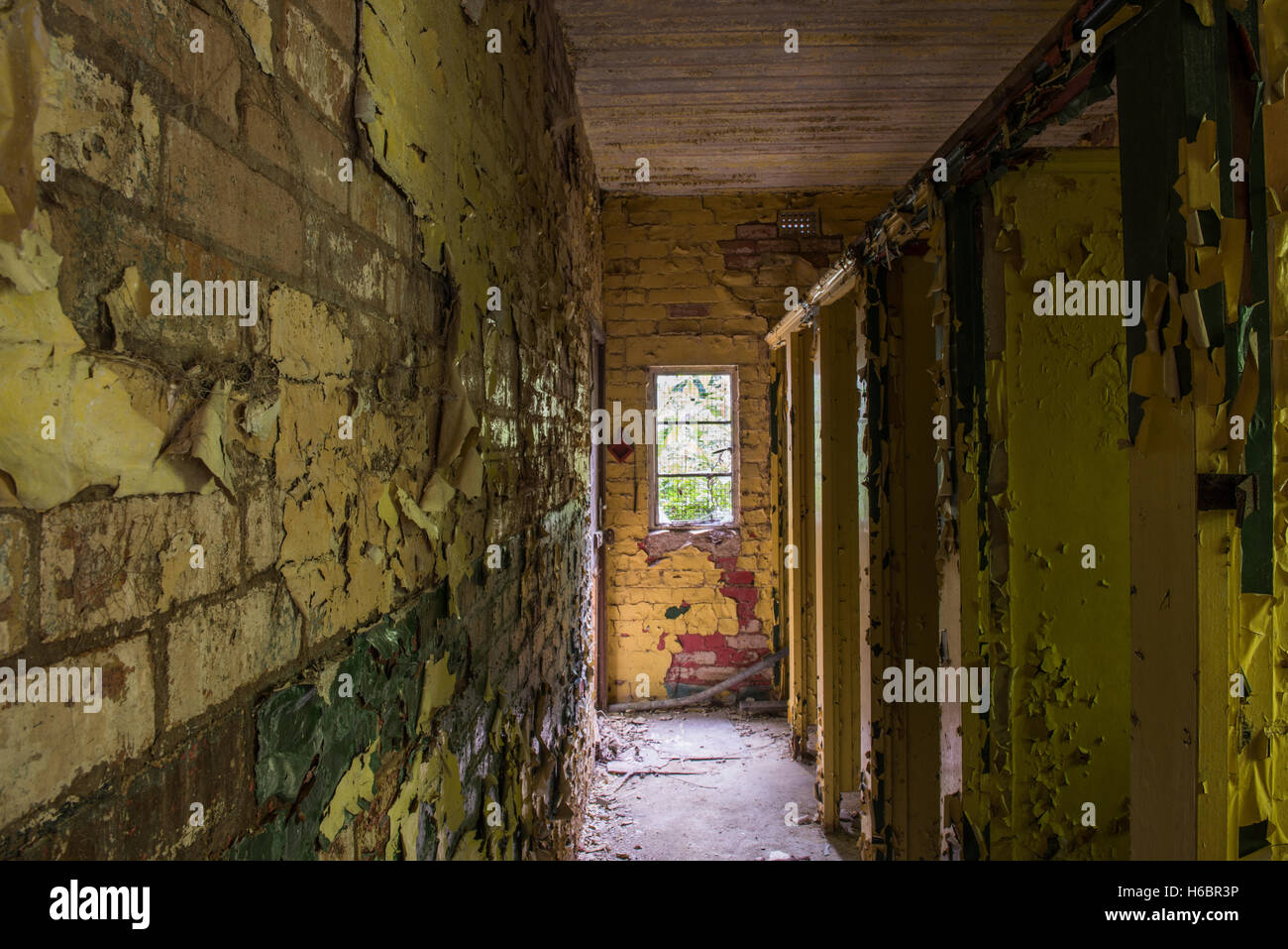 Cabines de toilettes à l'intérieur de la Poterie, Falcon abandonnés Stoke on Trent, Staffordshire, Royaume-Uni Banque D'Images