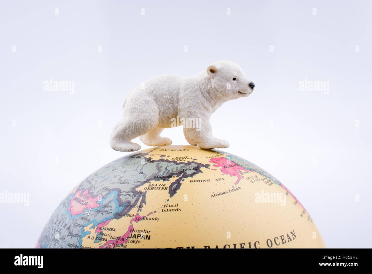 Ours polaire sur le dessus de la planète sur fond blanc Banque D'Images
