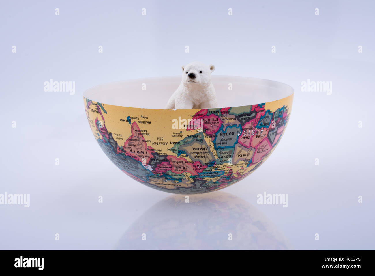 L'ours polaire dans le monde sur fond blanc Banque D'Images