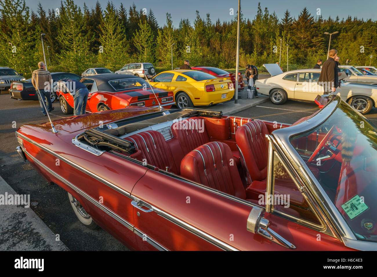 Classic Dodge Challenger cabriolet, Reykjavik, Islande Banque D'Images Classic Dodge Challenger cabriolet, Reykjavik, Islande Banque D'Images