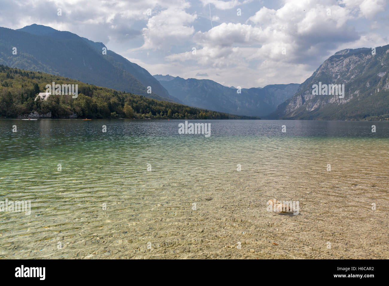 Lac de Bohinj paysage estival et les Alpes Juliennes en Slovénie. Banque D'Images