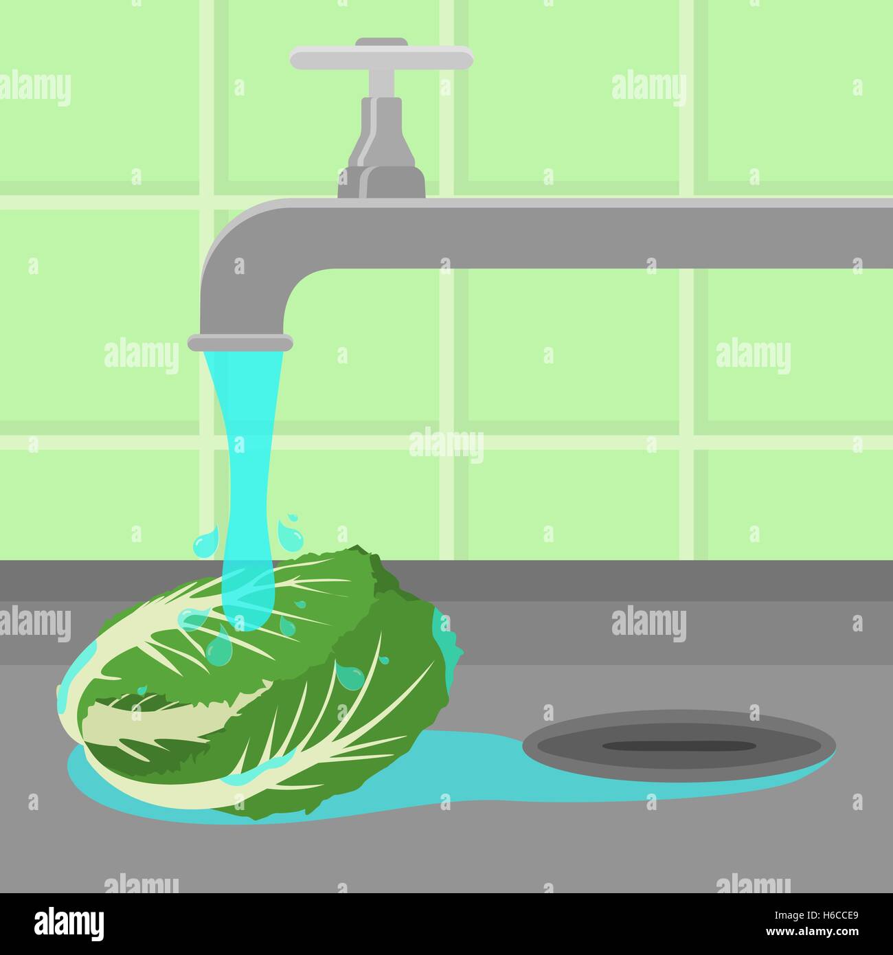 Le chou d'être nettoyés et lavés dans un évier dans une cuisine. L'eau courante. Illustration de Vecteur
