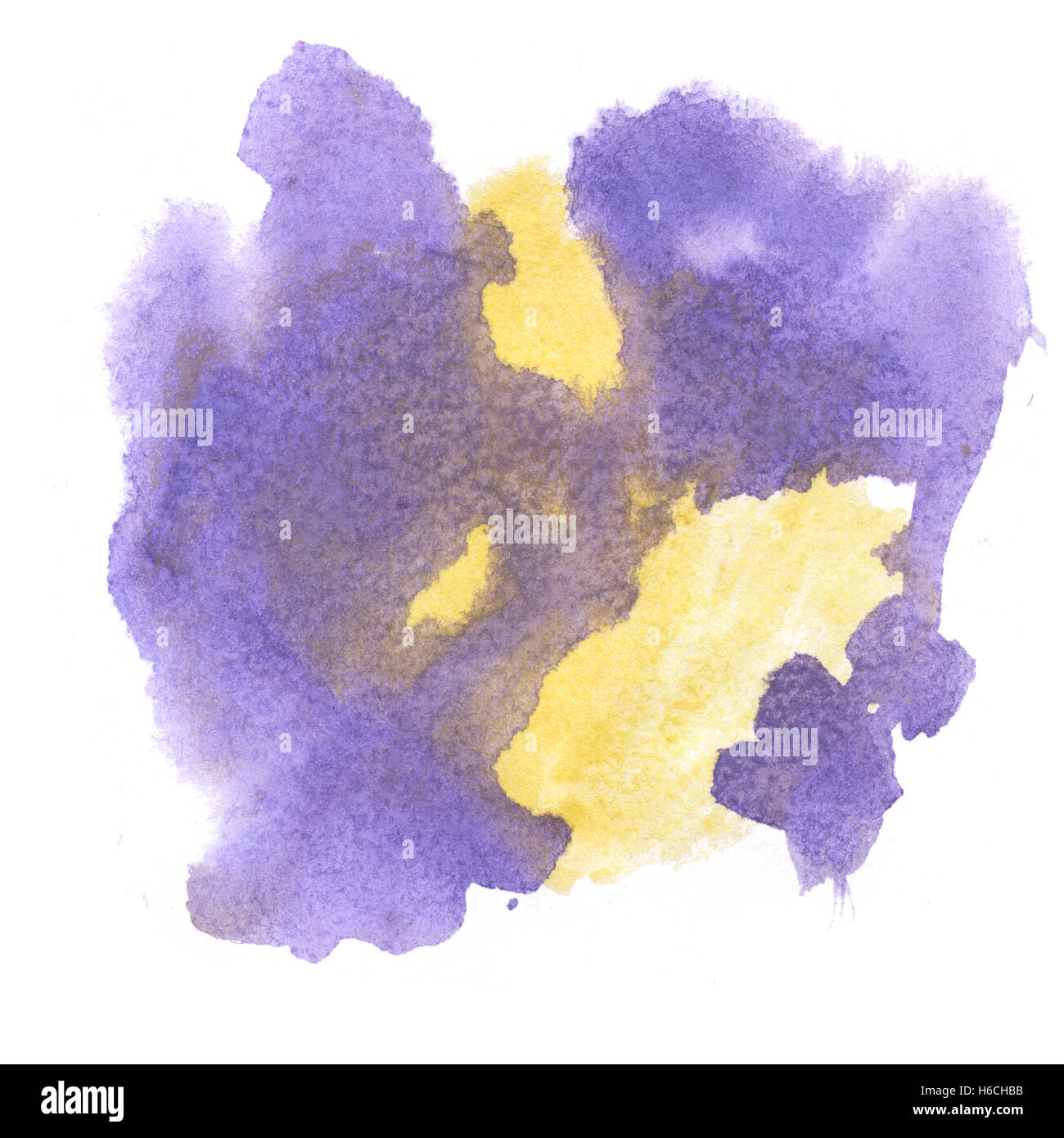 Jaune Violet aquarelle aquarelle abstraite. splash drop blot isolées pour votre design art Banque D'Images
