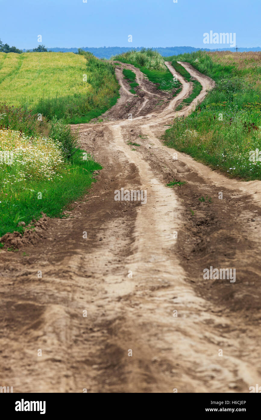 Route de campagne menant à travers le champ de la forêt lointaine Banque D'Images