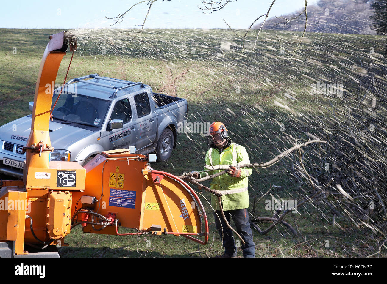 Arbres de déchiquetage des ouvriers qui ont diminué au cours d'une tempête dans la campagne dans le sud du Pays de Galles, Royaume-Uni. Banque D'Images