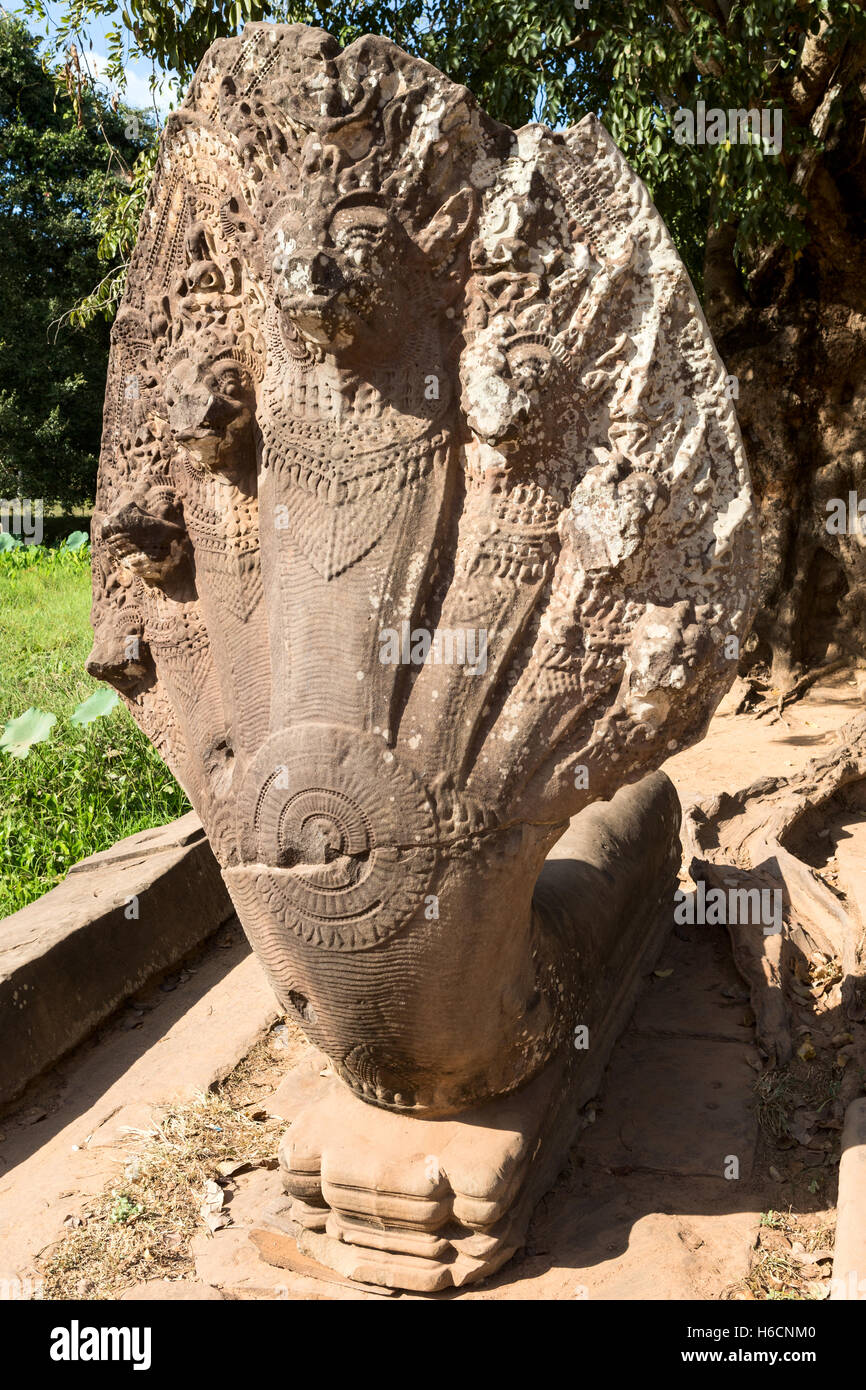 Naga Serpent Snake Banque d'image et photos - Alamy