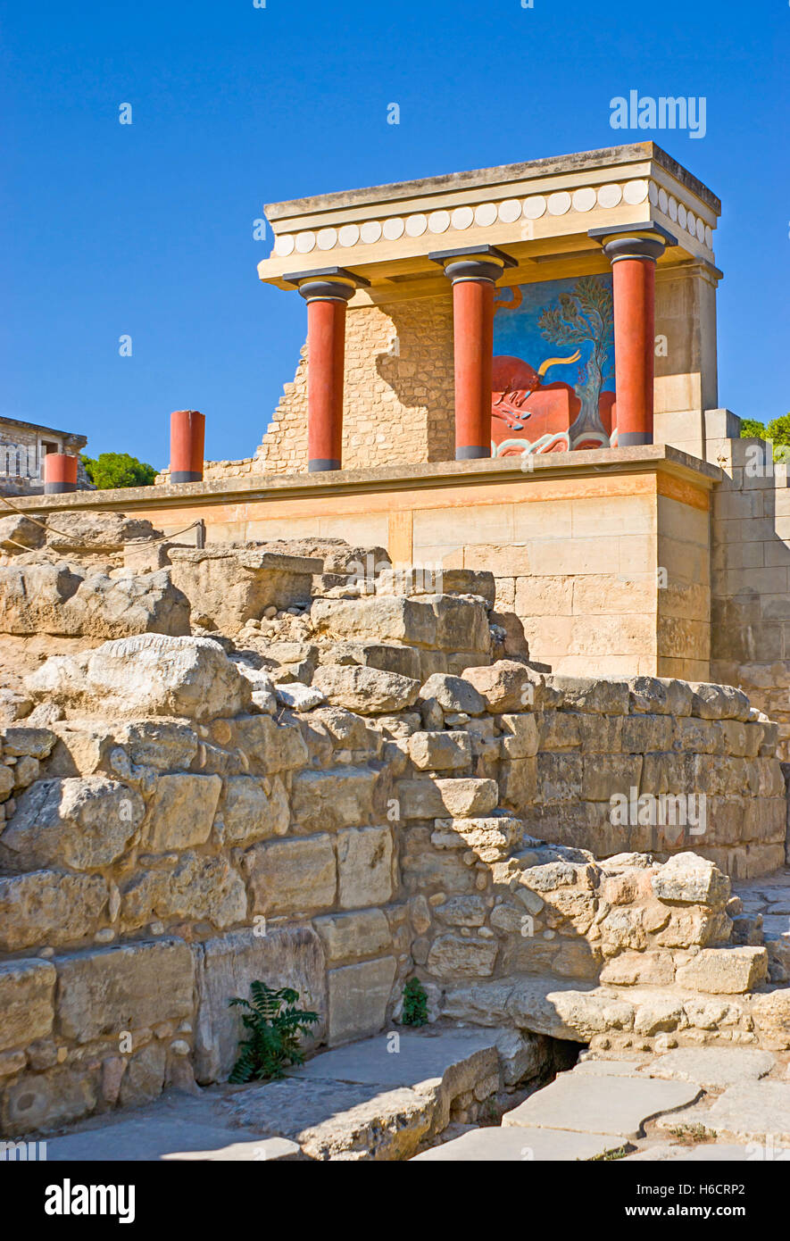 Partie restaurée d'un mur avec le taureau fresque de palais de Knossos, le plus grand site archéologique de l'âge du Bronze Banque D'Images