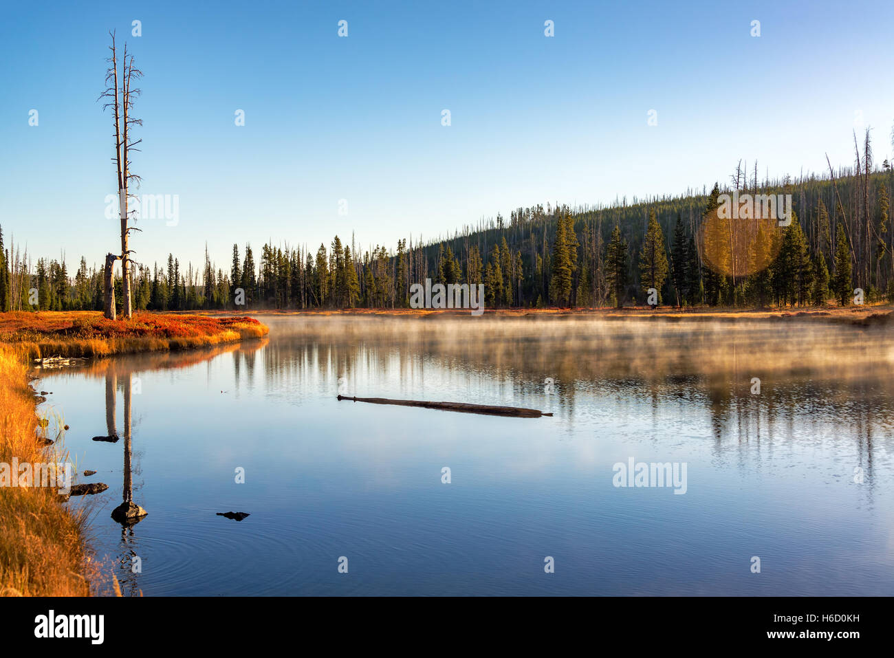 Tôt le matin la vue paysage de la Snake River in Yellowstone National Park Banque D'Images