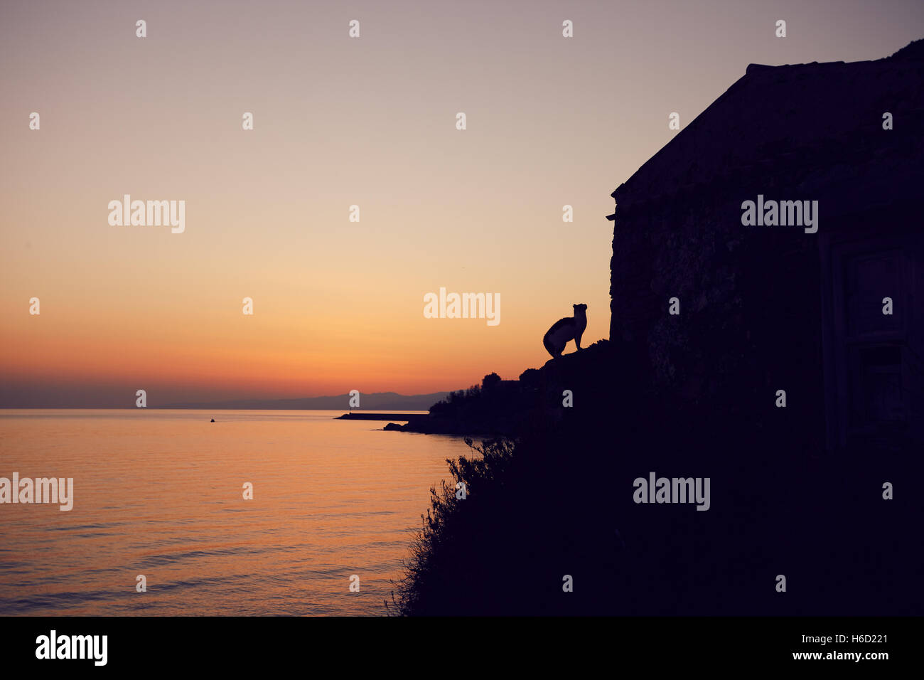 Silhouette de chat près de la mer au lever du soleil à Cefalù Banque D'Images