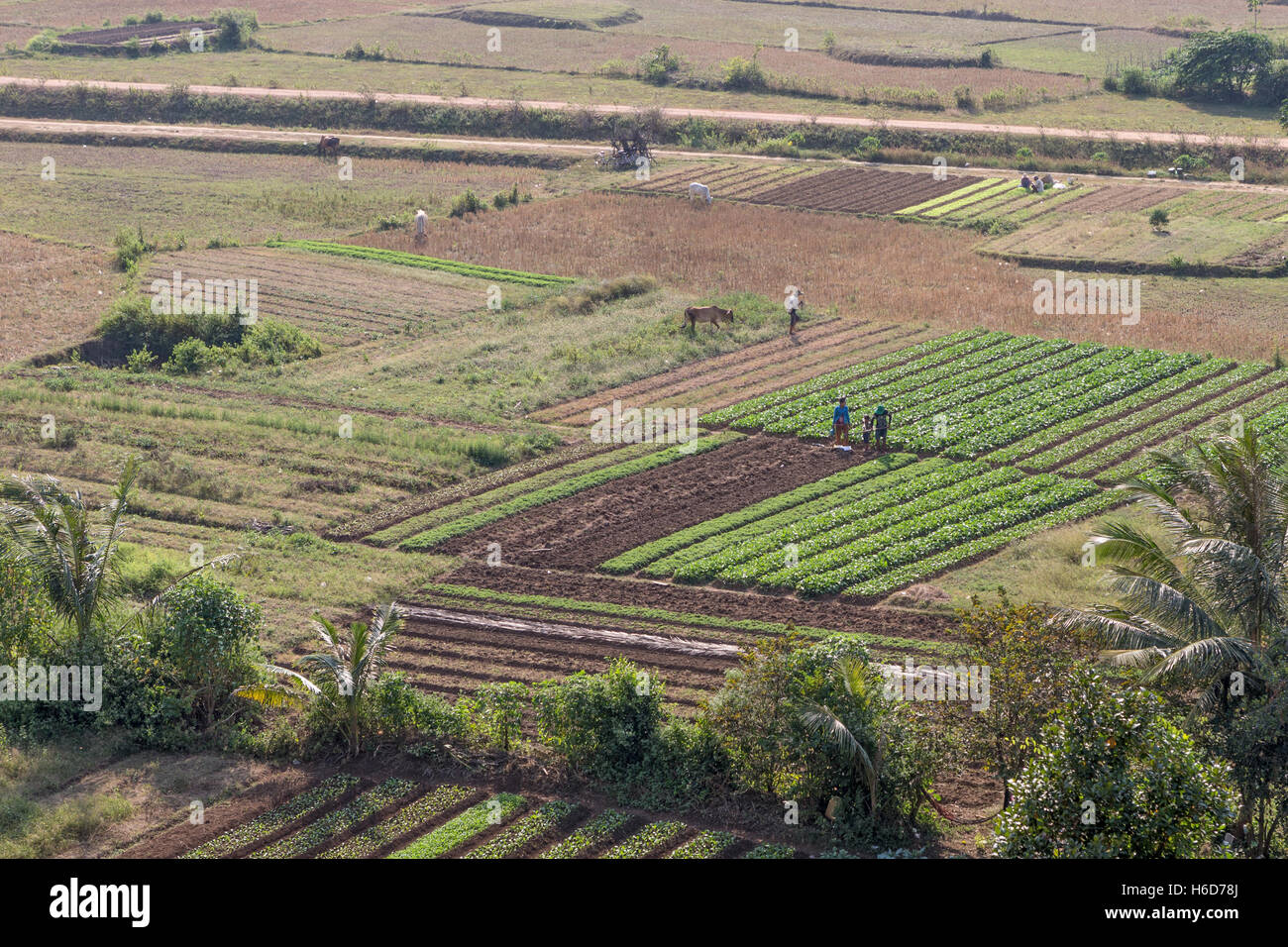 Vues depuis Phnom Chhnork, temple de la grotte hindoue, province de Kampot, Cambodge Banque D'Images