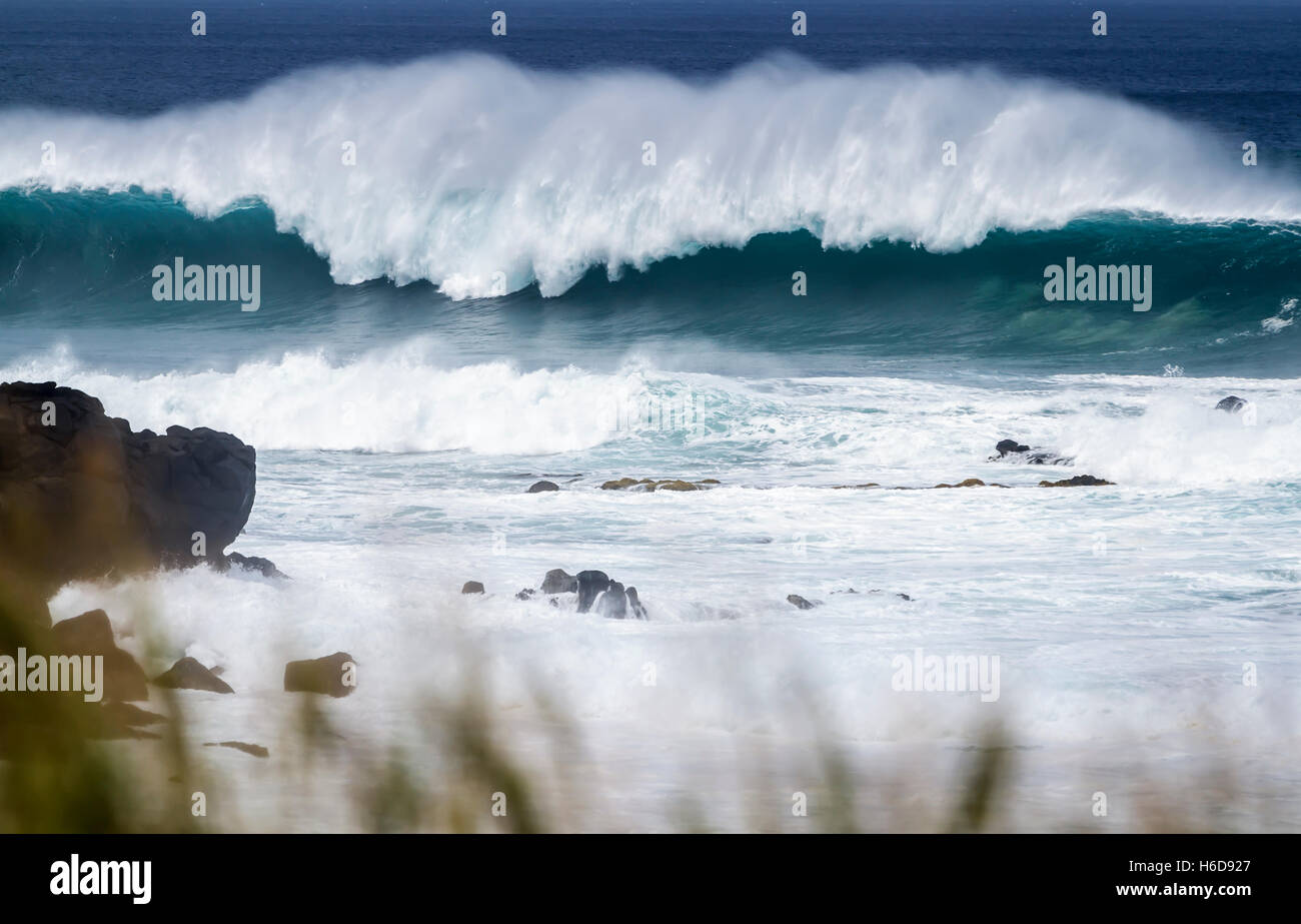 Océan vagues Waimea Bay north shore Oahu Hawaii Banque D'Images